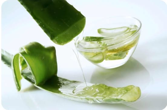 Aloe Vera Gel