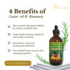 CASTOR OIL, ROSEMARY COMBO 100 % PURE, NATURAL & ORGANIC